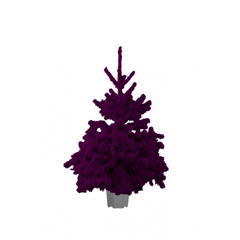 Epicéa floqué - violet pailleté