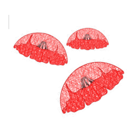 Coquelicot (3D)