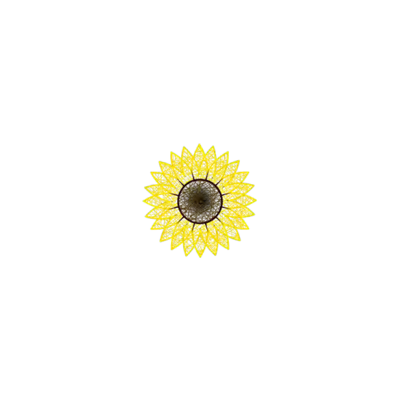 Tournesol (2D)