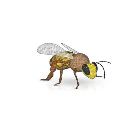 Abeille (3D) géante