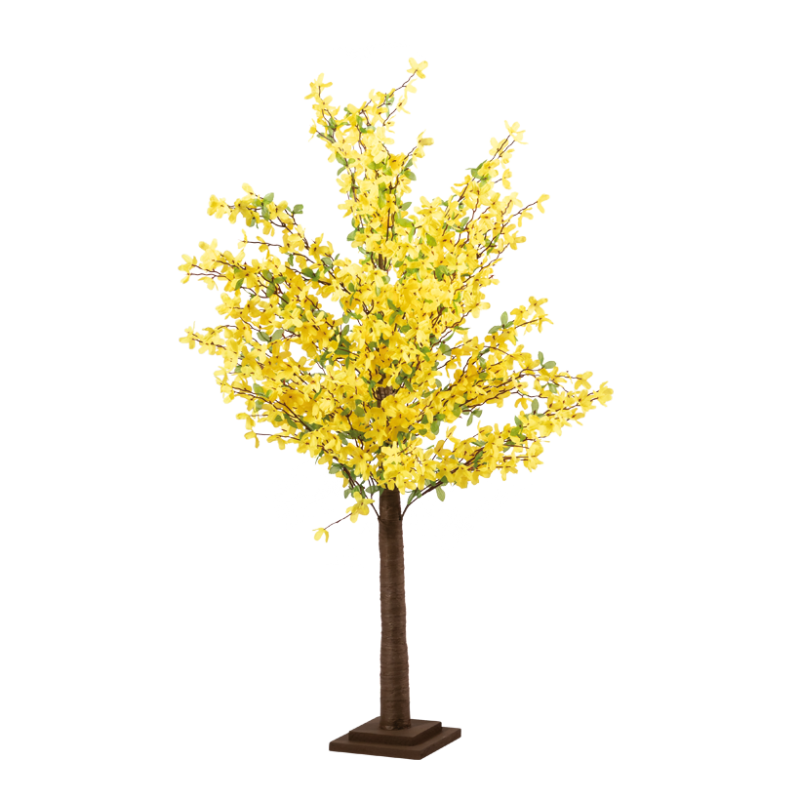 Forsythia en arbre