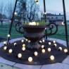 Guirlande lumineuse 20 Ampoules